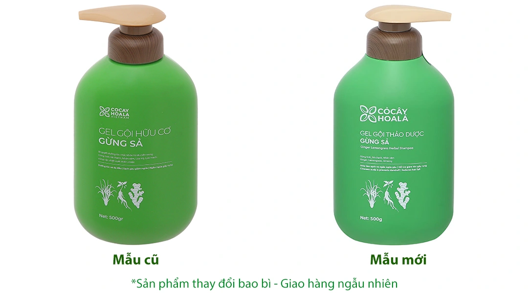 Gel gội thảo dược Gừng Sả Cỏ Cây Hoa Lá ngăn dầu, dưỡng ẩm chai 500g - 